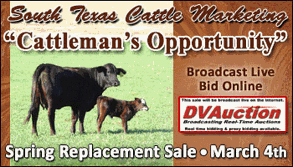 SS-South Texas Cattle Marketing "Cattleman's Opportunity" Spring Replacement Sale-03-04-2023
