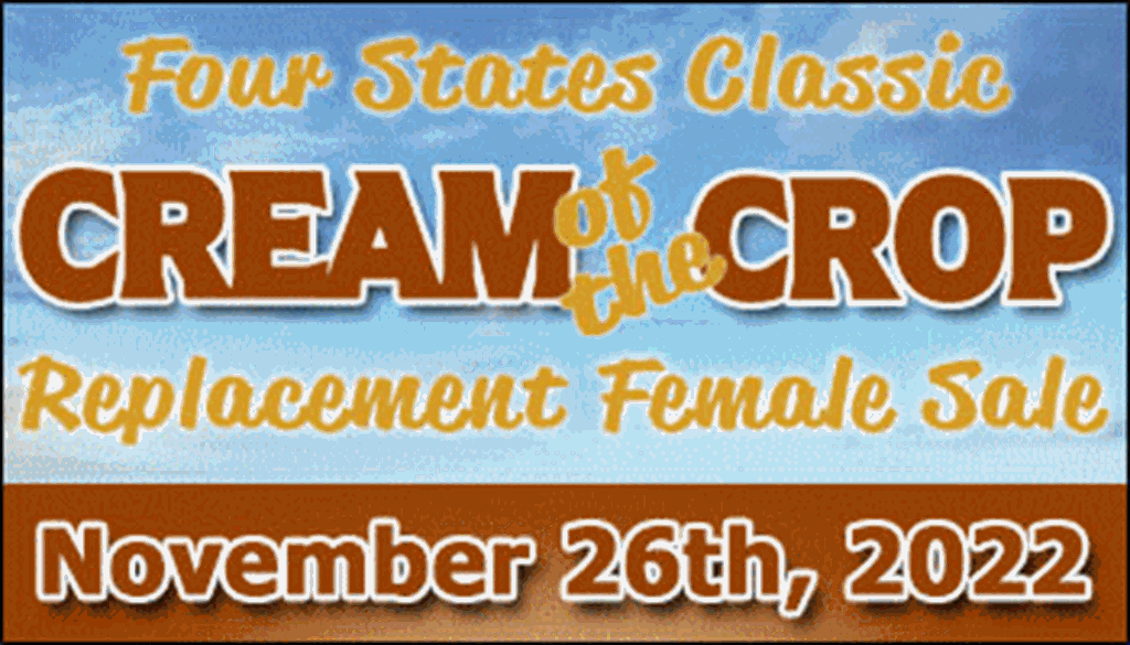 SS-Four States Classic "Cream of the Crop" Replacement Female Sale-11-26-2022