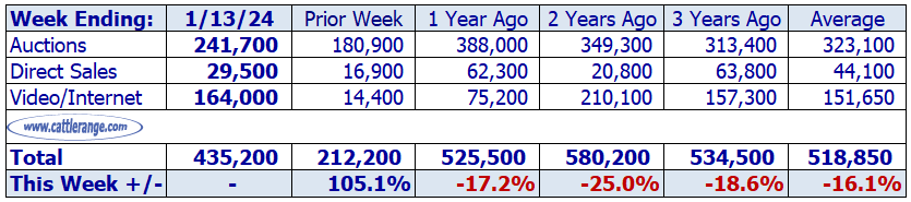 Feeder & Stocker Cattle Marketings For The Week Ending 1/13/24 Cattle Range