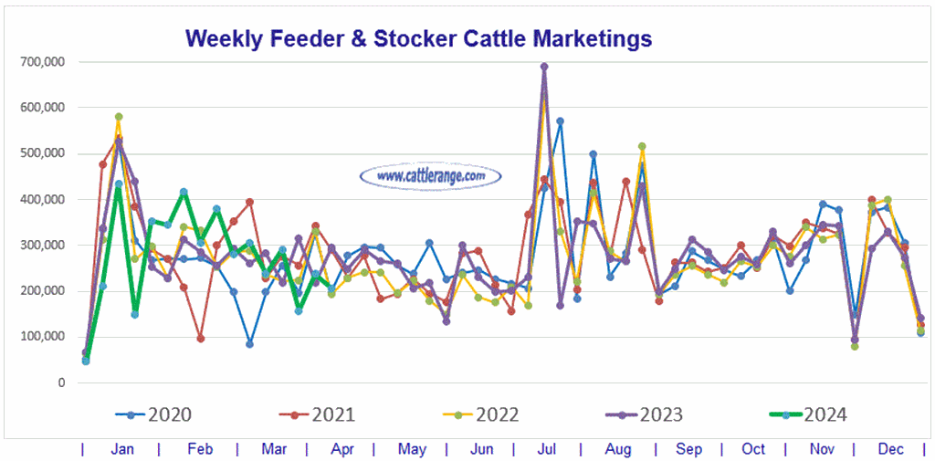 Feeder & Stocker Cattle Marketings for the week ending 4/13/24
