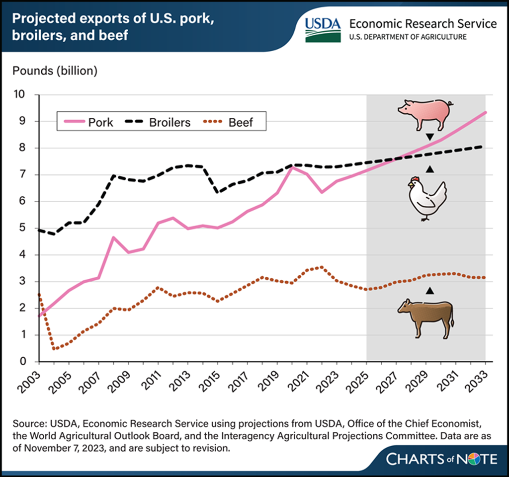 Pork Exports Projected to Surge; Beef Exports Weak to Steady