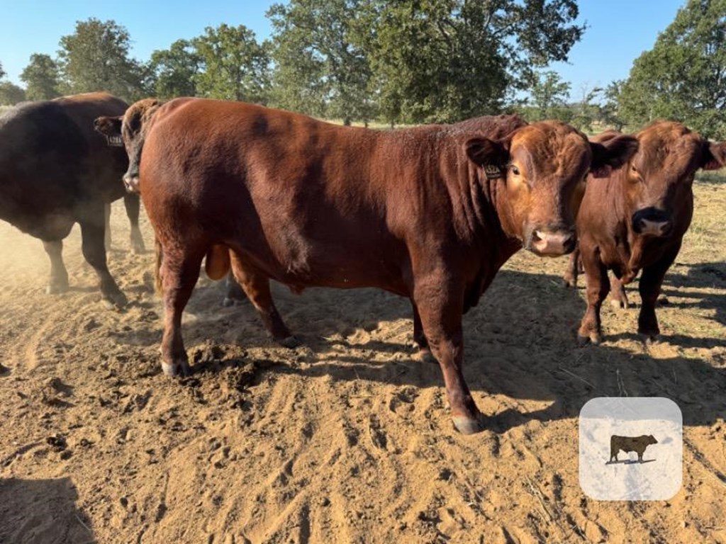 Cattle Range Listing Photo