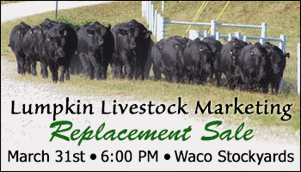 SS-Lumpkin Livestock Marketing Replacement Sale-03-31-2023