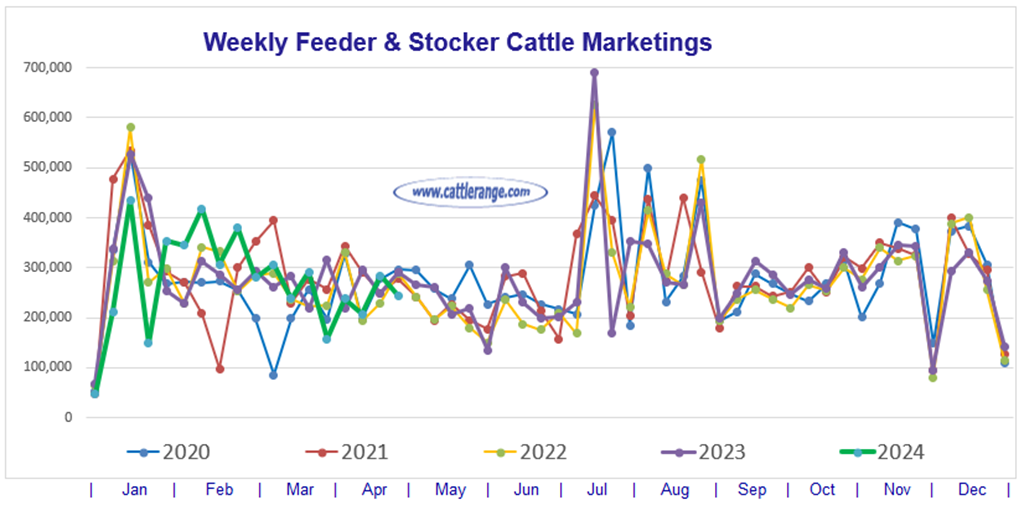 Feeder & Stocker Cattle Marketings for the week ending 4/27/24