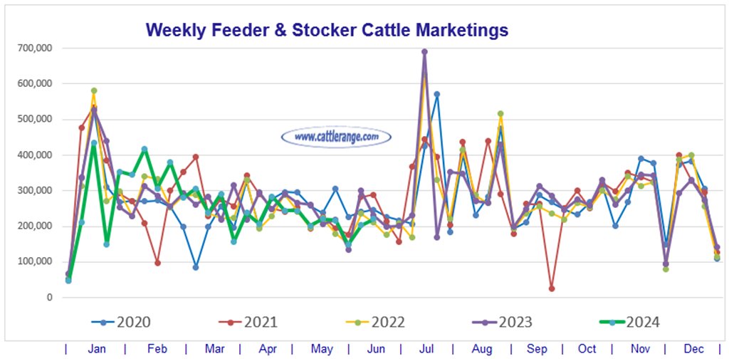 Feeder & Stocker Cattle Marketings for the week ending 6/15/24