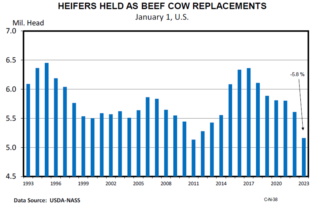 Beef Heifers Retained as Replacements Down 5.8%