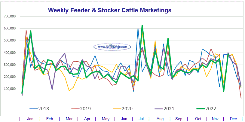 Feeder & Stocker Cattle Marketings For The Week Ending 12/3/22 Cattle Range