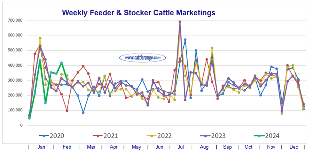 Feeder & Stocker Cattle Marketings for the week ending 2/17/24