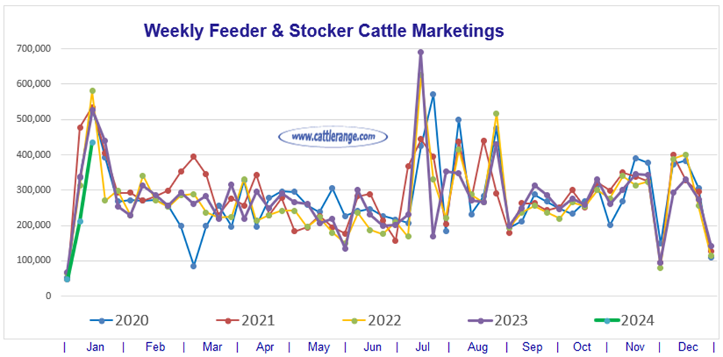 Feeder & Stocker Cattle Marketings for the week ending 1/13/24