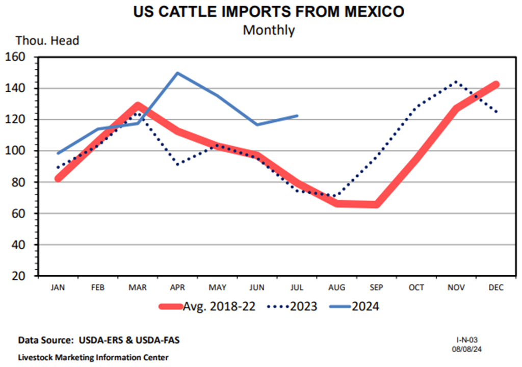 Big Increase in U.S. Cattle Imports