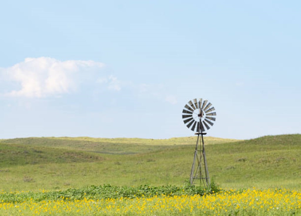 Pasture & Range Conditions as of 9/15/24