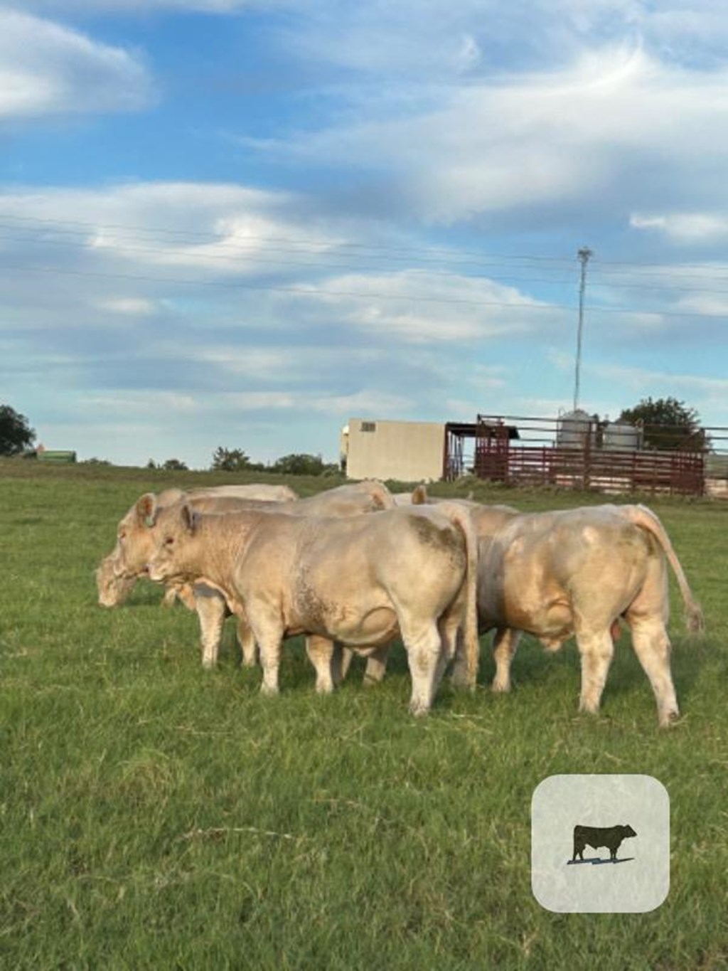 Cattle Range Listing Photo