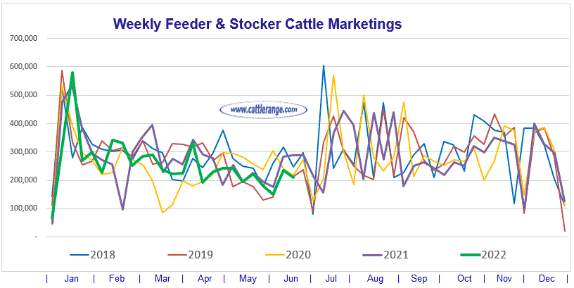 Weekly Feeder & Stocker Cattle Marketings for week ending 6/18/22