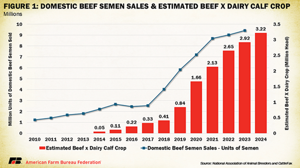 The Rise of Crossbreeding for Dairy Producers