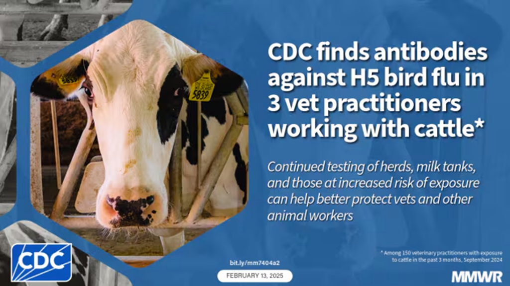 Bird Flu Infections Detected in Bovine Veterinary Practitioners