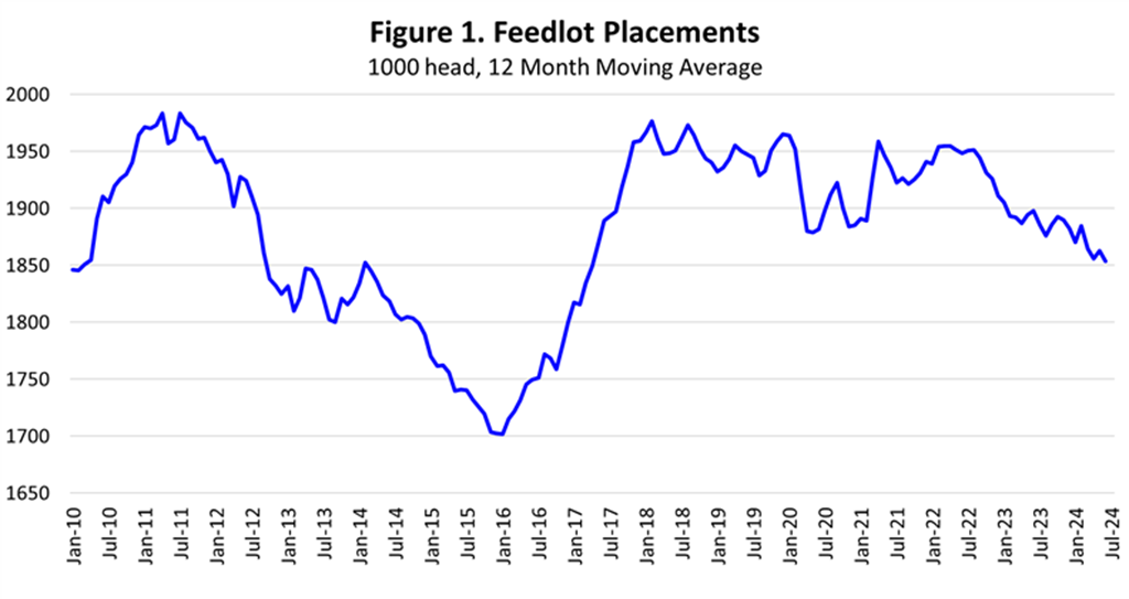 Feedlot Inventories Slowly Reflecting Cattle Numbers