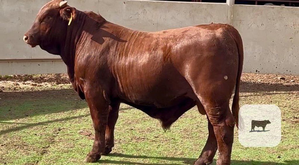 Cattle Range Listing Photo