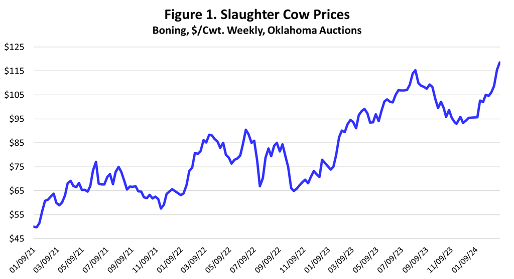 Slaughter Cattle and Ground Beef Market Soars